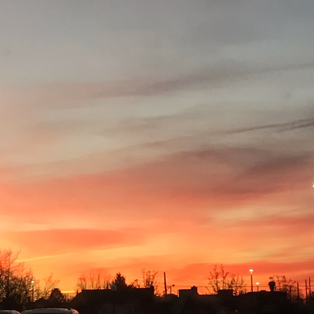 Meet your Posher, Michele